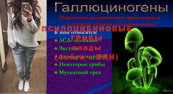 прущий лед Белокуриха