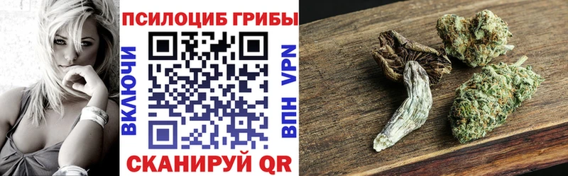 Псилоцибиновые грибы MAGIC MUSHROOMS Боровск